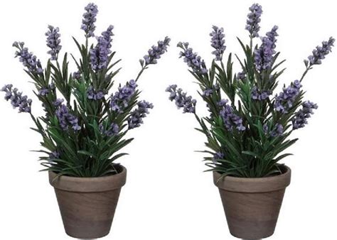 Bol X Groene Lavandula Lavendel Kunstplant Cm In Grijze