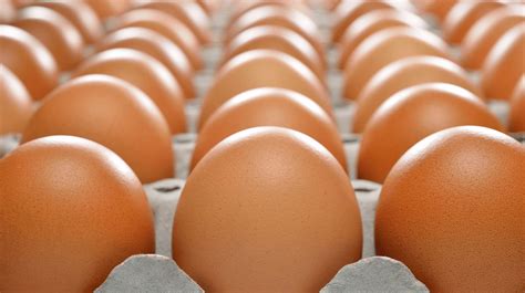 Egg Prices Higher Again Up 150 Over Last Year Small Business Trends