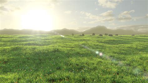 Grass Field Finished Projects Blender Artists Community