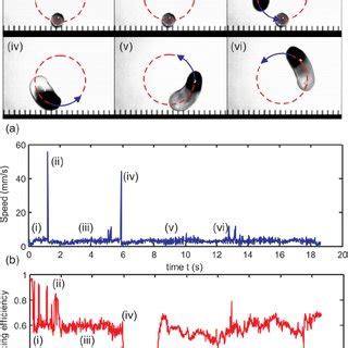 Titration Experiment On The Digital Magnetofluidic Platform Driven By A