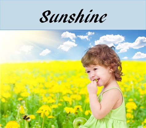 Sunshine Theme