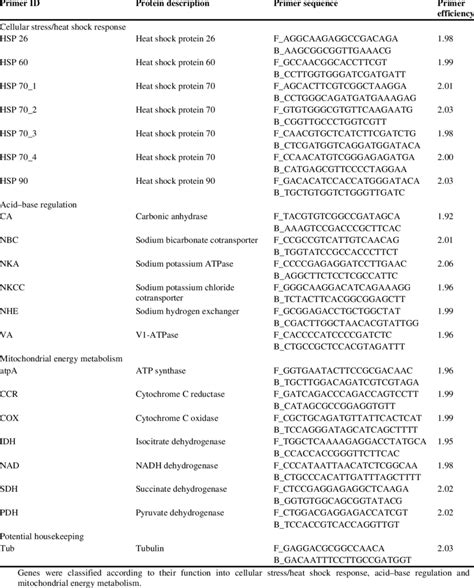 Primers of 21 genes used for RT-qPCR | Download Table 