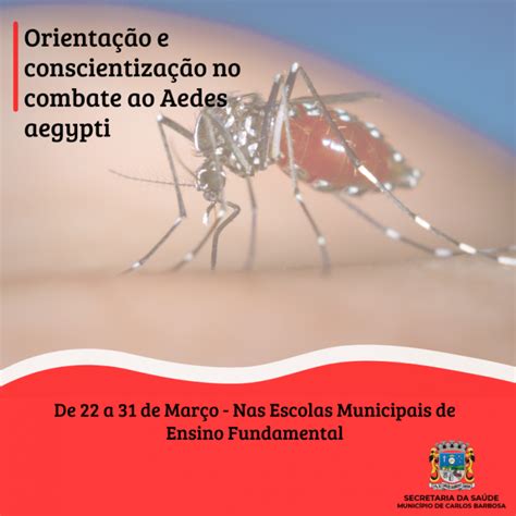 Secretaria Da Saúde Realiza Ações De Combate Ao Mosquito Aedes Aegypti