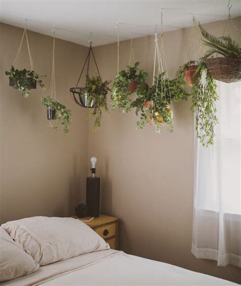 Perfect Hanging Plants In Bedroom Outdoor Wicker Baskets