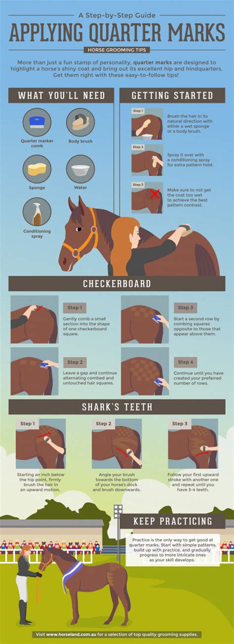 7 Must-Know Horse Grooming Tips