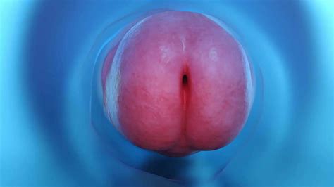 Wolf Fleshlight Fuck ThisVid