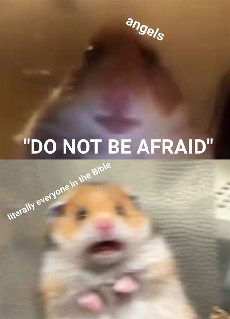 DO NOT BE AFRAID : r/dankchristianmemes