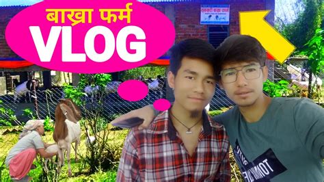 Dd बाख्रा फर्म को Vlog Youtube