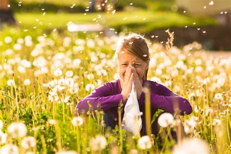 Allergia Ai Pollini Consigli Sulla Prevenzione Farmacia Brembate