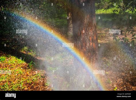 Rainbow Formed From Spraying With A Garden Hose Stock Photo Alamy