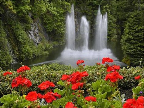 Paisajes de flores hermosas - Imagui