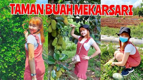 WISATA TAMAN BUAH MEKARSARI YouTube