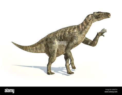 Iguanodon Dinosaurio Foto Realista Y Científicamente Correcta Representación En La Dinámica De