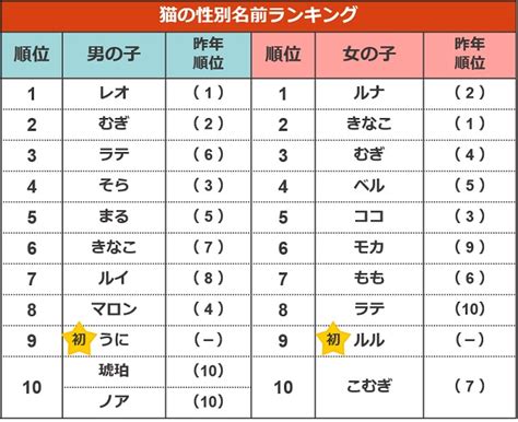 猫の名前ランキング2023【調査結果】 にゃんペディア