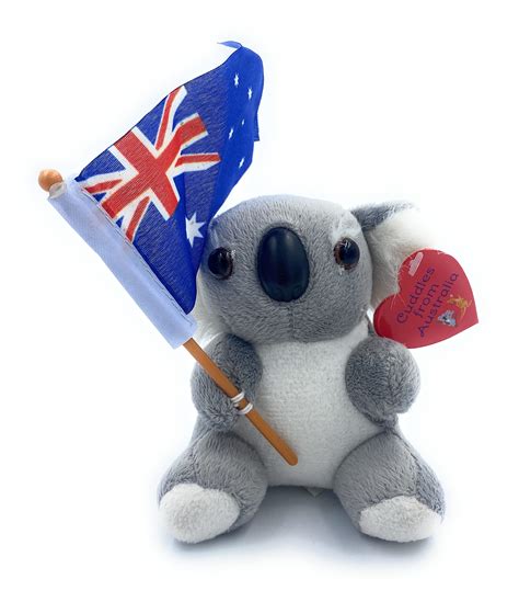 australian koala bear