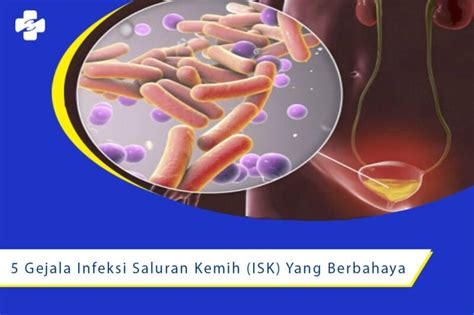 5 Gejala Infeksi Saluran Kemih ISK Yang Berbahaya