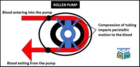 Cardiopulmonary Bypass All You Need To Know Before Your Edaic