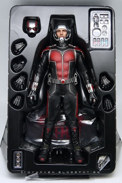 Toyhaven Hot Toys MMS308 1 6th Scale Ant Man 12 Inch Collectible Figure Review 1 Truly A