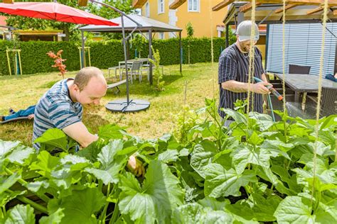 Unser Angebot Einrichtung Schwandorf Dr Loew