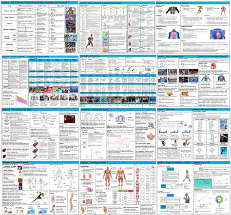 Gcse Pe Edexcel 9 1 Complete Component 1 Knowledge Organisers