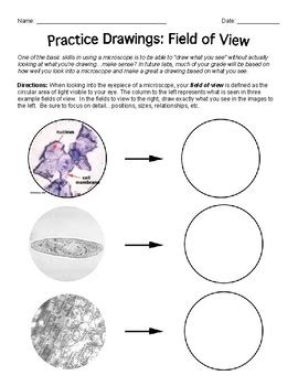 Field Of View Calculation Microscope