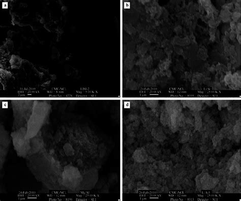 Sem Images Of A Lithium Silicate Lisi 2 Mol Ratio And Calcined At