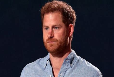 Prince Harry Has Come Under Fire For Spreading Complete Fantasy