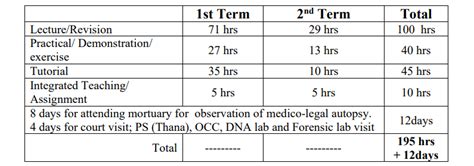 Mbbs Nd Year Syllabus With Curriculum