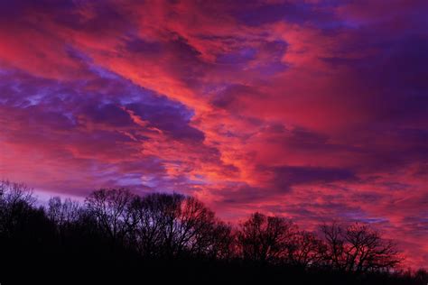 Wallpaper Trees Sunset Nature Clouds Sunrise Evening Horizon