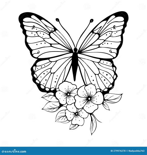 Butterfly Black Silhouette With Flowers Outline Vector Illustration