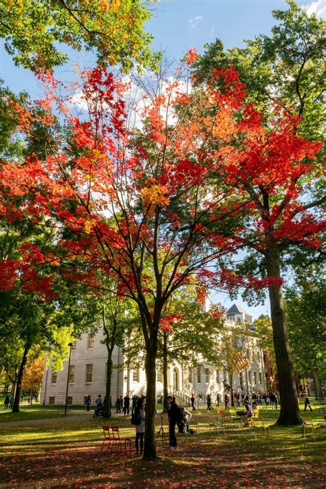 2023 Fall Foliage in Boston: 14 Best Spots, Timing, and More