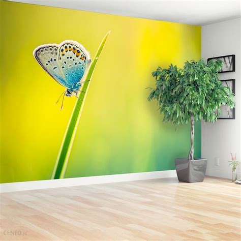 Tulup Fototapeta Motyl Flizelinowa 104x70cm PLFS695863591 Opinie I