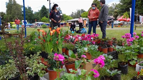 M S De Mil Personas Ya Han Visitado La Expo Primavera En Temuco