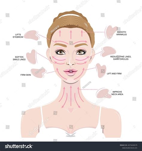 How Use Gua Sha On Face Stock Vector (Royalty Free) 2271634175 ...