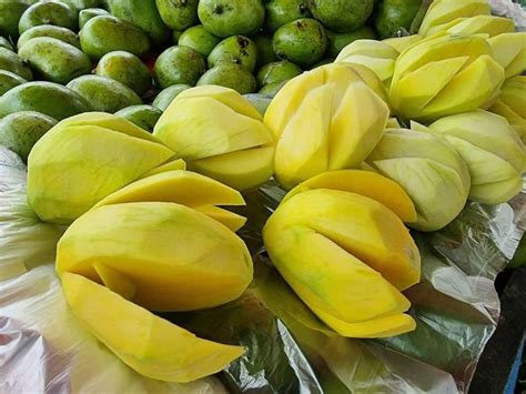 1kg indian mango | Lazada PH