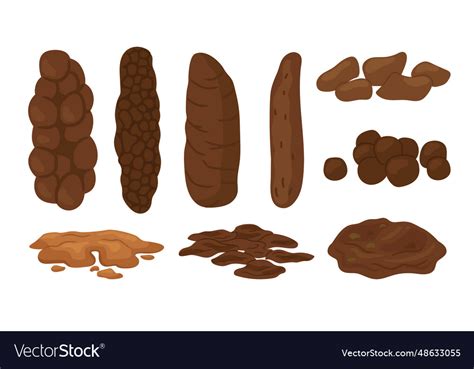 Bristol Stool Form Scale With Faeces Type Images Vector Image