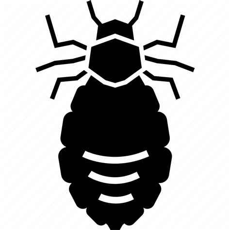 Flea Head Lice Lice Mite Parasite Icon Download On Iconfinder