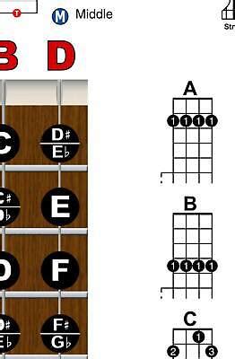 Laminated Banjo Chord Chart Poster Fretboard Grelly Usa