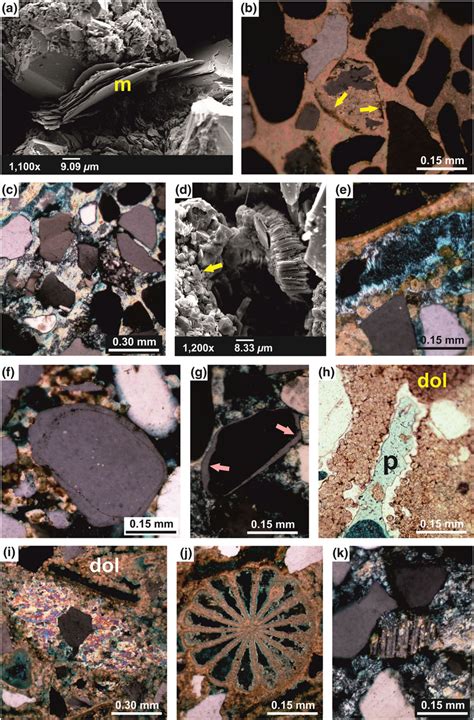 Photomicrographs And Sem Images Showing The Diagenetic Features Of The