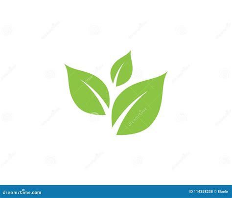 Plantilla Del Icono Del Vector De La Hoja Del árbol Ilustración del