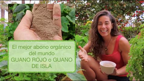 Guano Rojo Kg Bioecological El Mejor Fertilizante Org Nico Para Tu