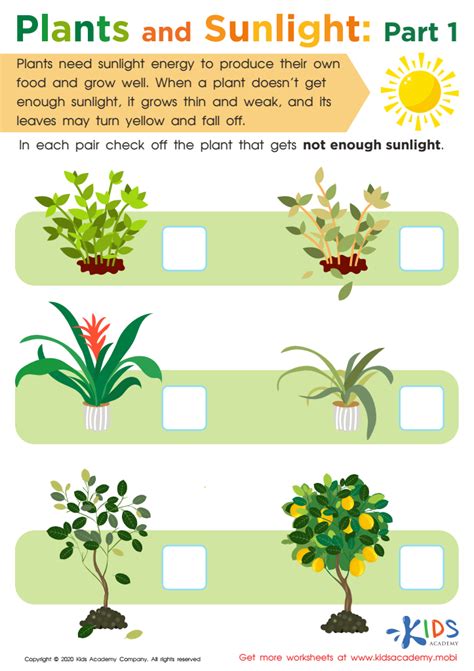 Free Plants Worksheets For Grade 1