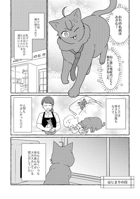 うちの暴君わが家の天使～はっぴーらいふ♪～ ドゥクシろここ 文豪とアルケミスト 同人誌のとらのあな女子部全年齢向け通販