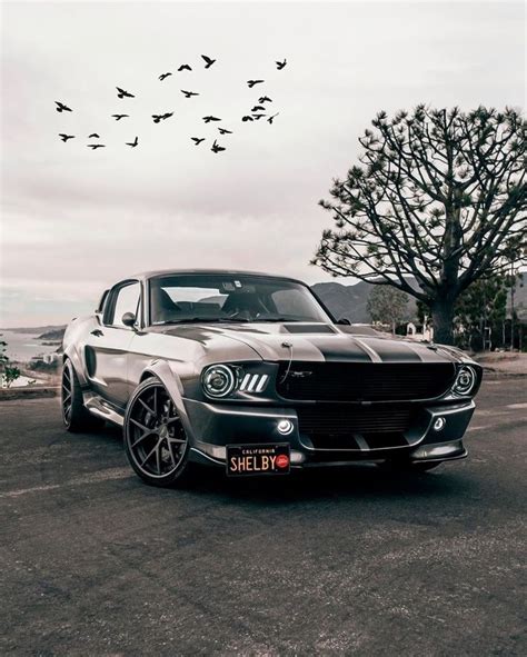 Pin By Vaniel On Hyper Car Muscle Cars Mustang Muscle Cars Dream Cars