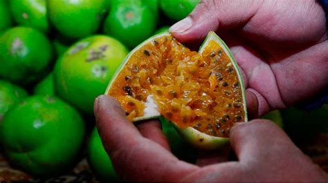 Tumbo una de las frutas peruanas con más vitamina C