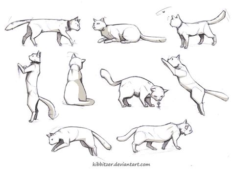 Cat Poses Drawing Publicado Por Lovely Lina En 5 01 No Hay Comentarios  Bosquejo De Gato