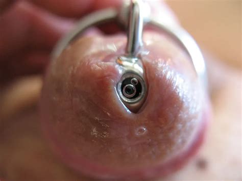 More Steel In Cock With Glans Rings 430 Pics 5 Xhamster