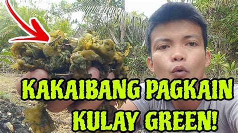 Naku Kakaibang Pagkain Ang Nadiskubre Ko Sa Gubat Boy Kasoy Youtube