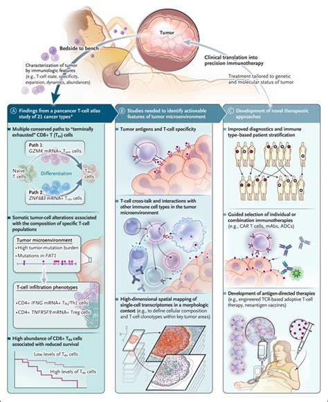 SAVALnet Ciencia y Medicina Progresos Médicos