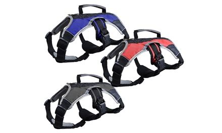 Heavy-Duty Padded Control Dog Harness | Groupon